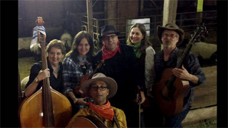 Fret & Fiddle - Shout Out and bit of Pigeon on the Gate - video Link